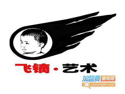 飞镝艺术加盟费