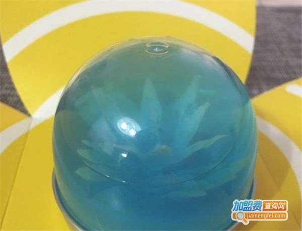 CHI哩果冻加盟费