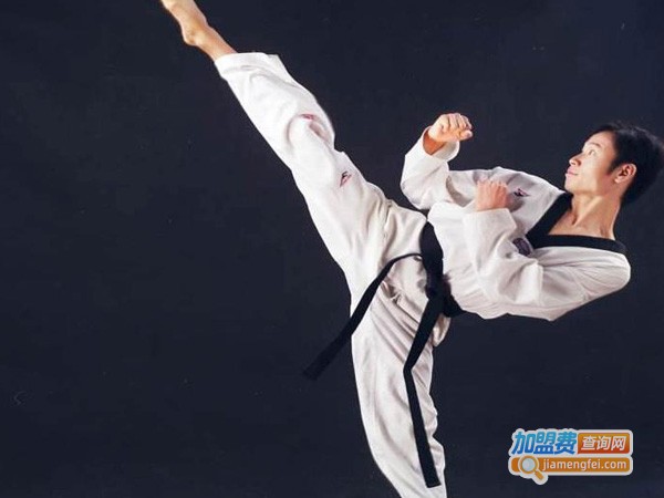 博奕跆拳道加盟费