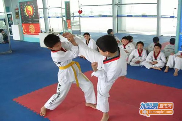 领风者跆拳道加盟费