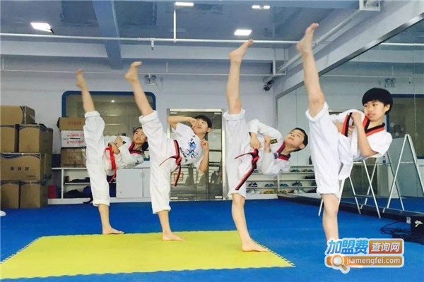 海华跆拳道培训加盟费