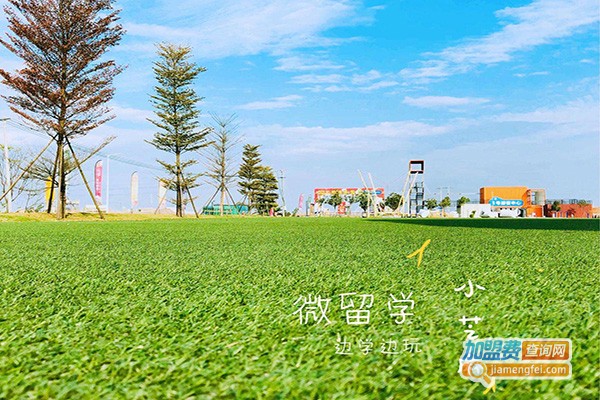 绿芝麻国际教育加盟门店