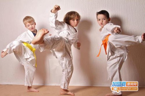 华夏东方跆拳道加盟费