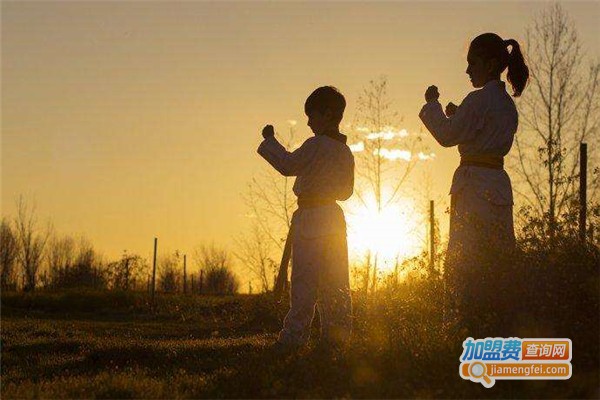 海华跆拳道培训加盟费