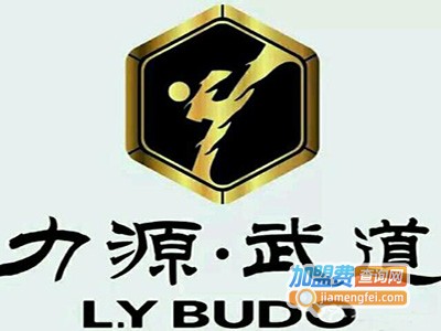 力源跆拳道加盟费