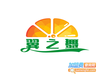 翼之舞舞蹈培训加盟费