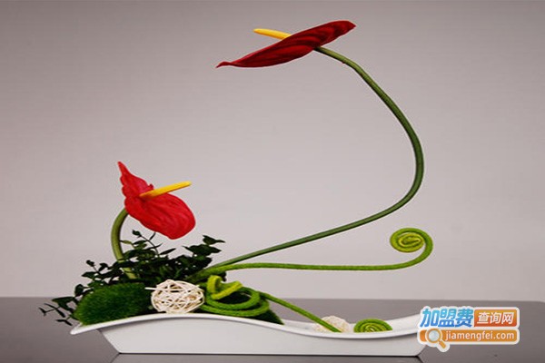 梅纳雪家居饰品加盟门店