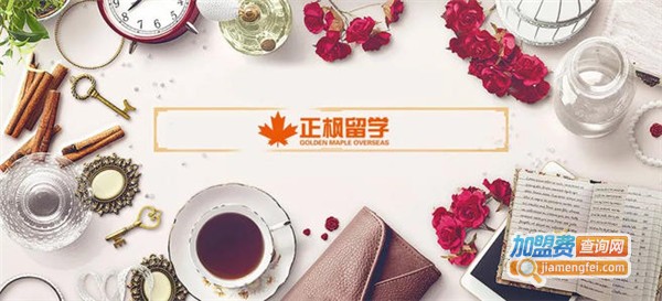 正枫英语加盟费