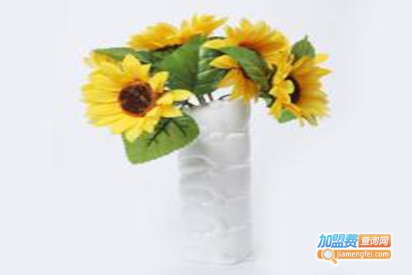 梅纳雪家居饰品加盟门店