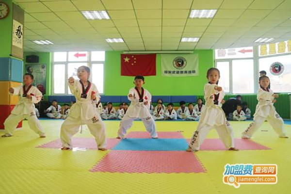 极风跆拳道加盟费