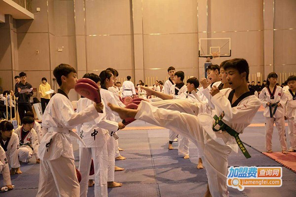 领风者跆拳道加盟费