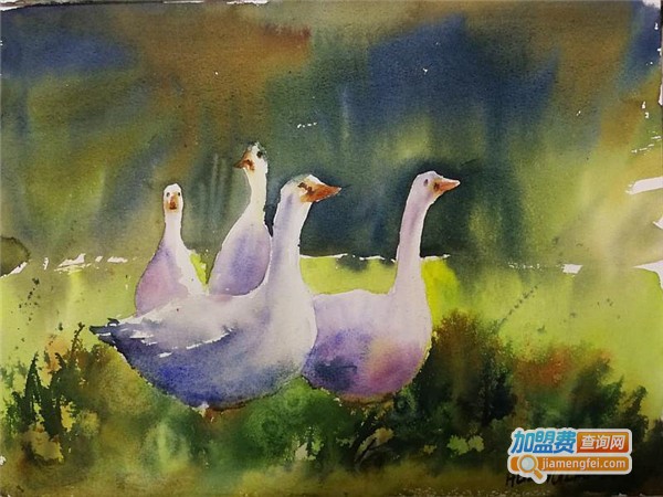 川西美术学校加盟费