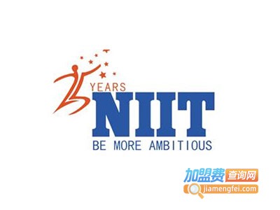 NIITIT培训