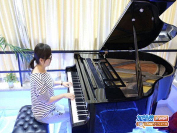 乐巢音乐艺术培训中心加盟费