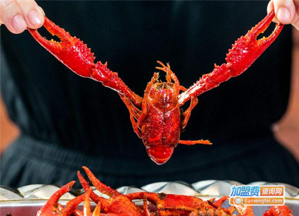 龙虾城堡加盟费