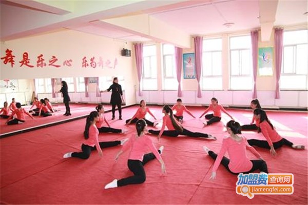 艺辉舞功堂加盟费