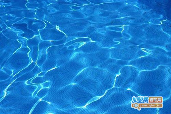 建业网校加盟费