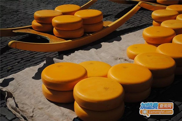 芝士少儿英语加盟费