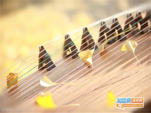 雅韵古筝艺术加盟门店