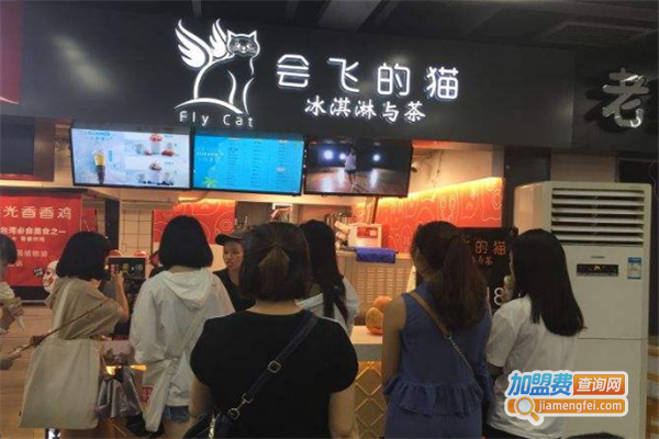 会飞的猫冰淇淋与茶加盟费