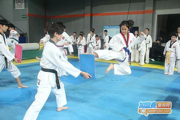 跆风跆拳道加盟门店