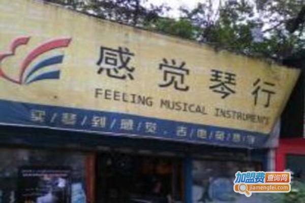 感觉琴行加盟费