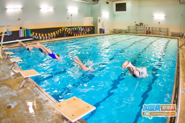 贝吉婴幼儿游泳加盟费