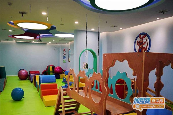 疯狂袋鼠国际儿童教育加盟费