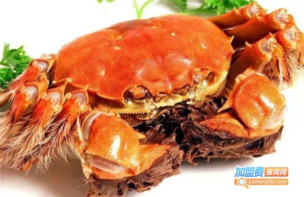 蟹天蟹地加盟费