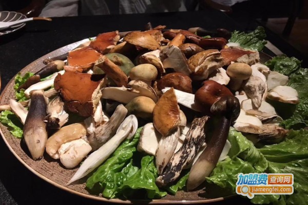 红嘴鸥云南野生菌火锅加盟费