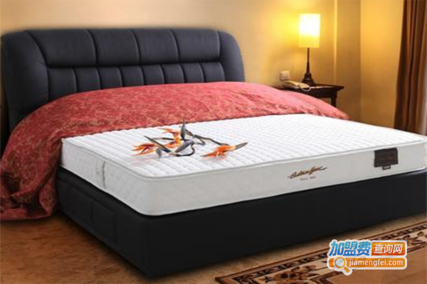 伊曼豪斯加盟费