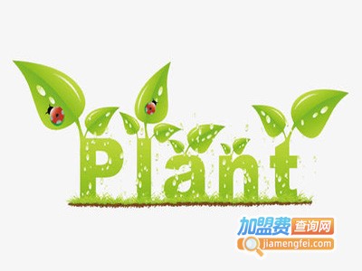 小绿芽幼儿园加盟费