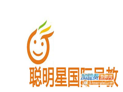 聪明星国际早教加盟费