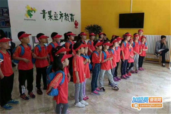 青果立方艺术培训学校加盟费