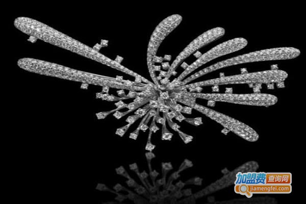 lan珠宝加盟门店