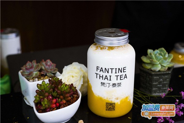 梵汀泰茶加盟费