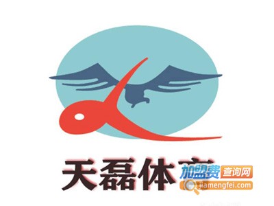 西安天磊体育加盟费