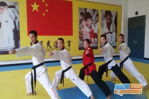 跆风跆拳道加盟门店