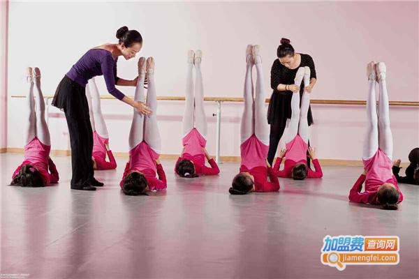 小神童艺校加盟费