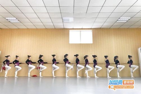 小白鸽艺术培训中心