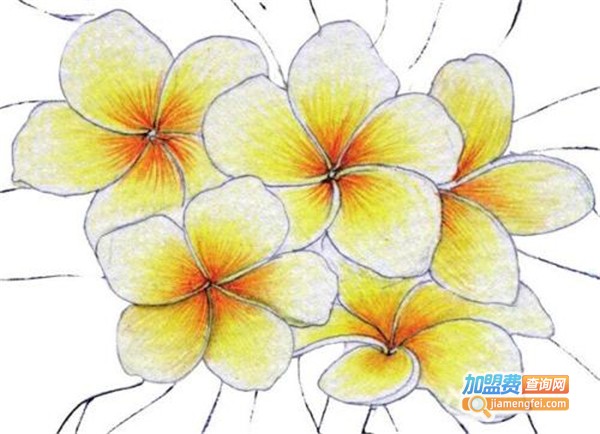 红蓝画室加盟费