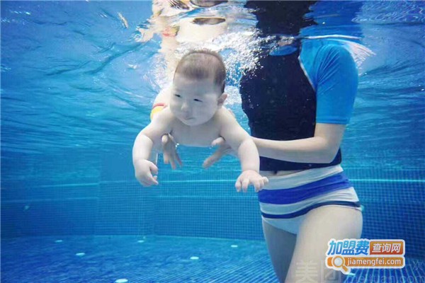 艾贝瑞国际亲子游泳中心加盟费
