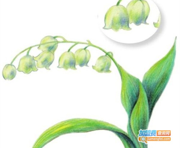 叶子画室加盟费