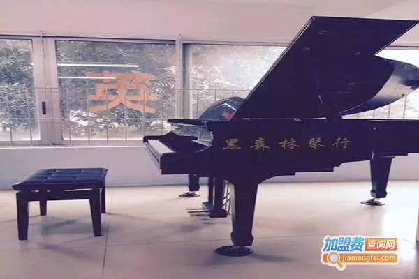 黑森林琴行加盟门店