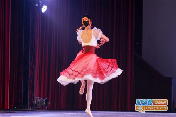 力美舞蹈培训加盟费