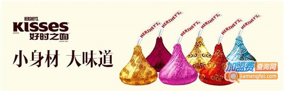 hershey's好时冰淇淋加盟费