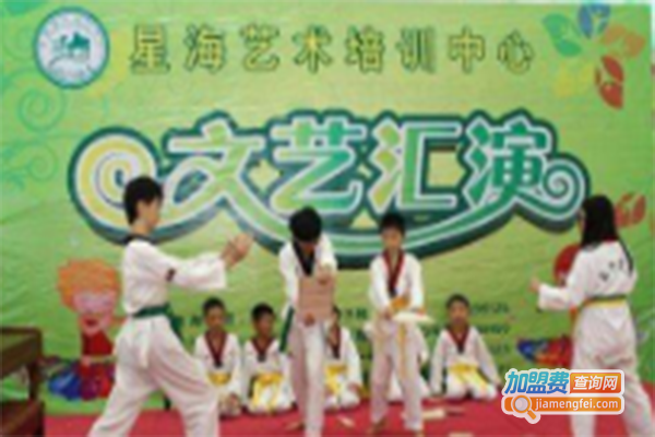 星海文化艺术培训中心加盟门店