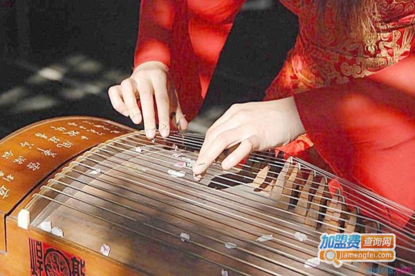 新国乐古筝艺术中心加盟费