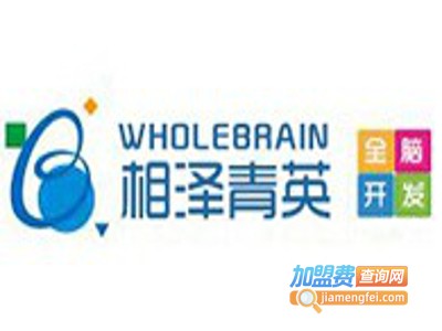 相泽青英全脑开发加盟费