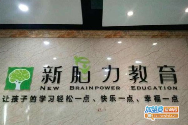 新脑力教育